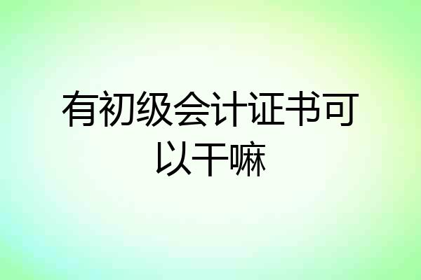 有初级会计证书可以干嘛