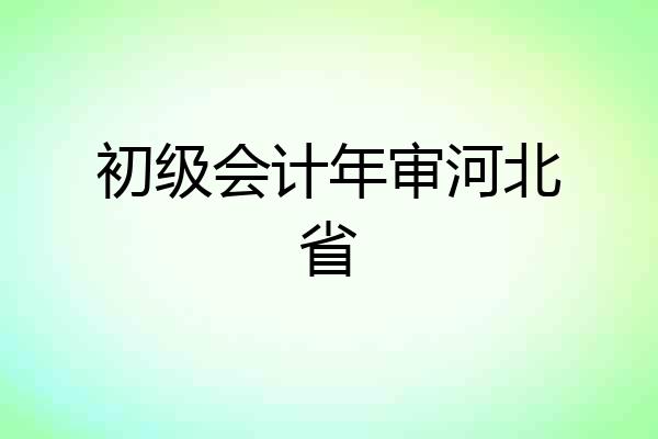 初级会计年审河北省