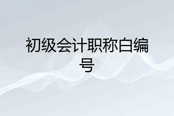 初级会计职称白编号