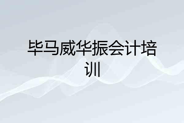 毕马威华振会计培训
