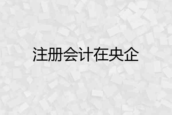 注册会计在央企