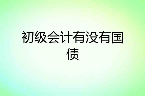 初级会计有没有国债