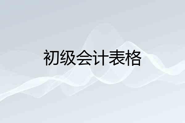 初级会计表格