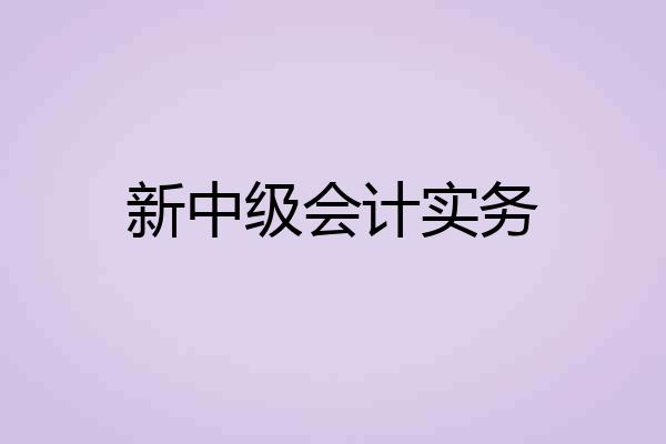 新中级会计实务