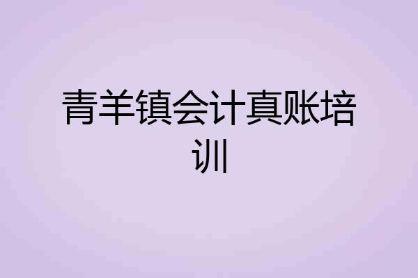 青羊镇会计真账培训