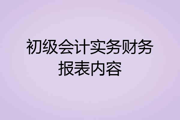 初级会计实务财务报表内容