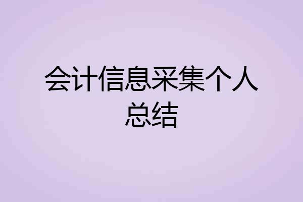 会计信息采集个人总结