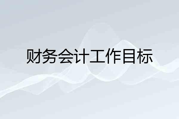 财务会计工作目标