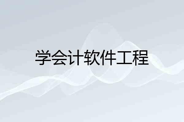 学会计软件工程