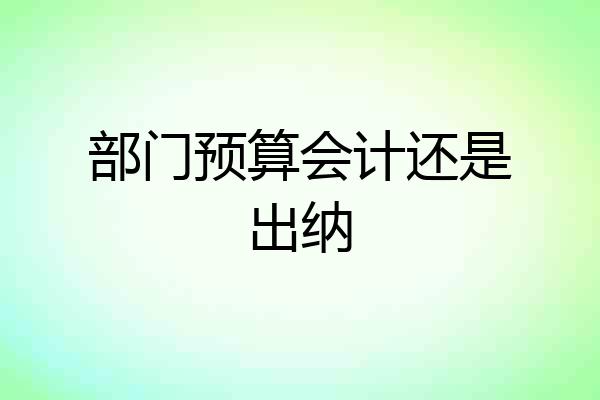 部门预算会计还是出纳