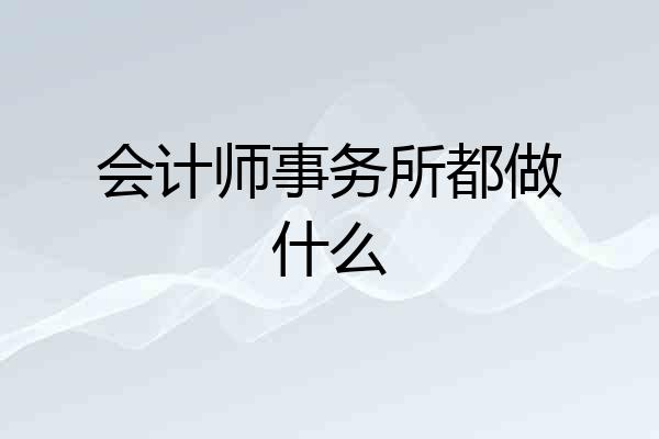 会计师事务所都做什么