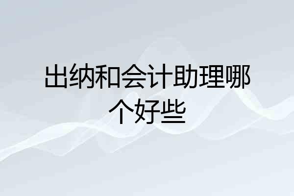 出纳和会计助理哪个好些