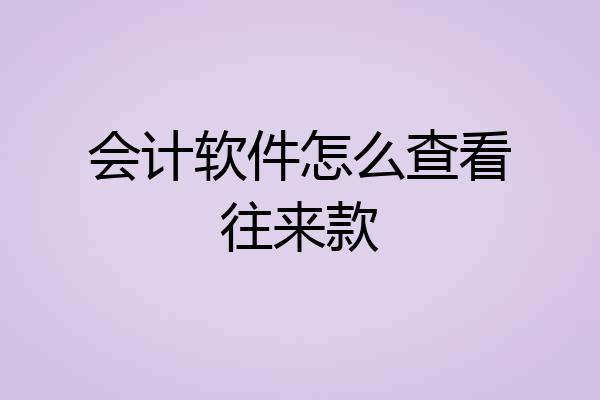 会计软件怎么查看往来款