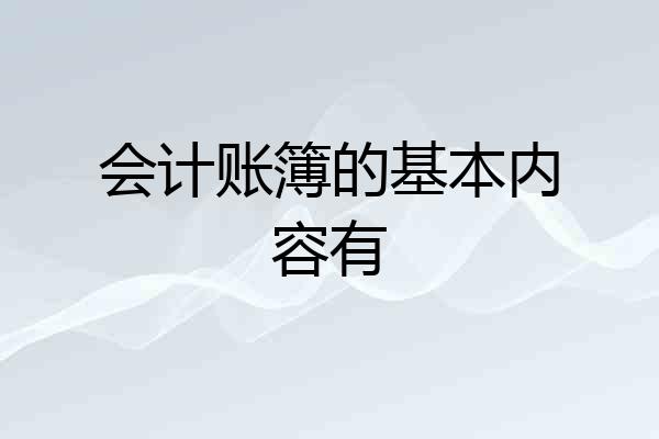 会计账簿的基本内容有