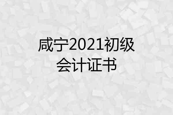 咸宁2021初级会计证书