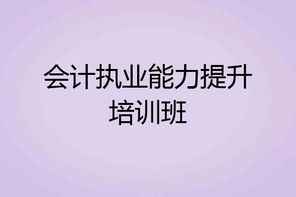会计执业能力提升培训班