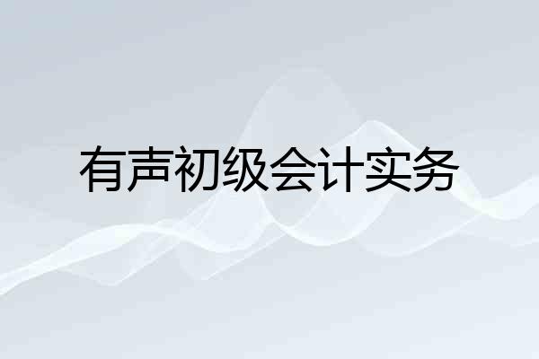 有声初级会计实务