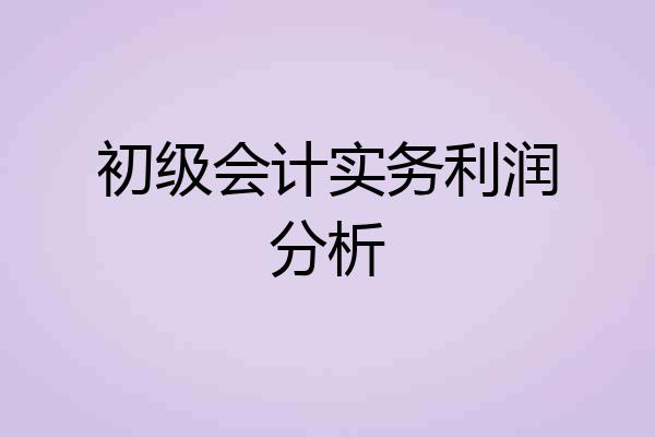 初级会计实务利润分析