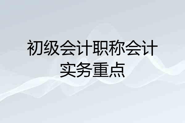 初级会计职称会计实务重点