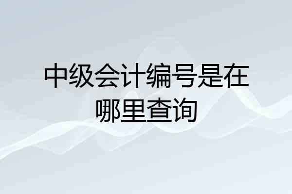 中级会计编号是在哪里查询
