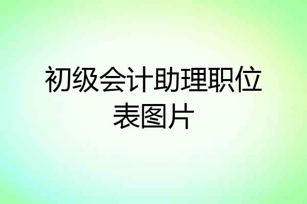 初级会计助理职位表图片