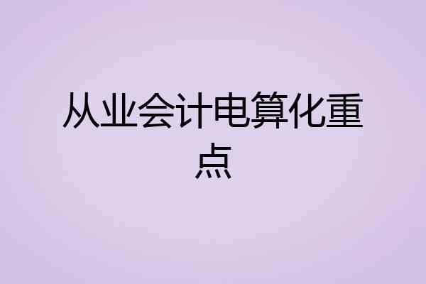 从业会计电算化重点