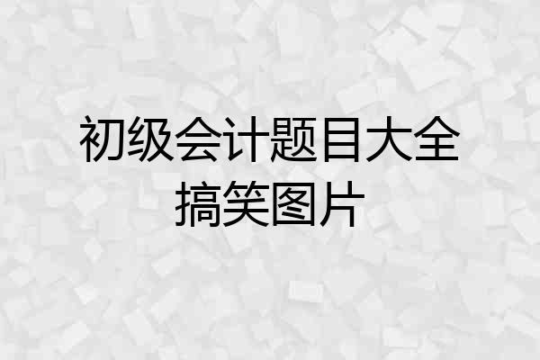 初级会计题目大全搞笑图片