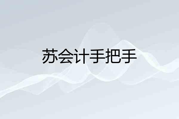 苏会计手把手