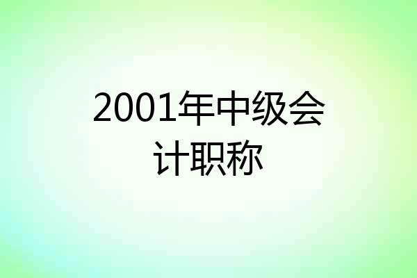 2001年中级会计职称