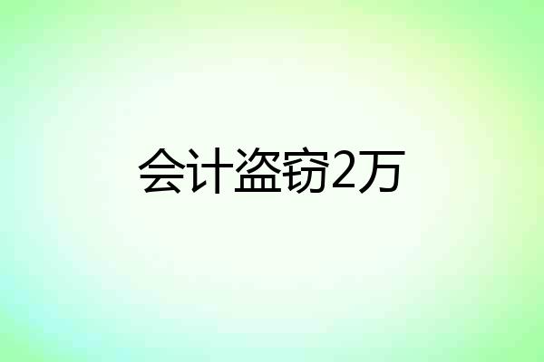 会计盗窃2万
