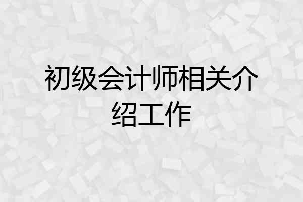 初级会计师相关介绍工作