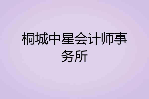 桐城中星会计师事务所