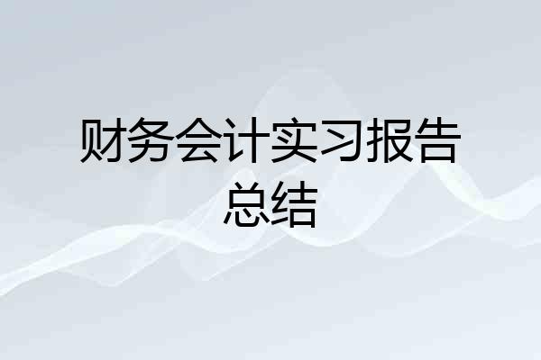 财务会计实习报告总结