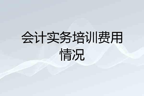 会计实务培训费用情况