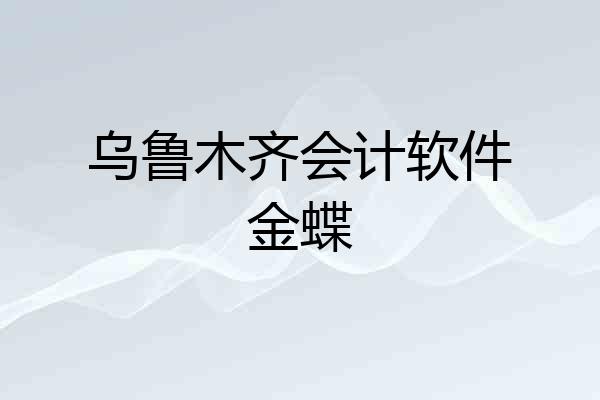 乌鲁木齐会计软件金蝶