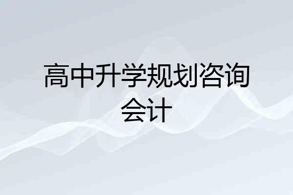 高中升学规划咨询会计