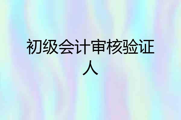 初级会计审核验证人