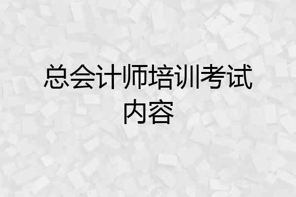 总会计师培训考试内容