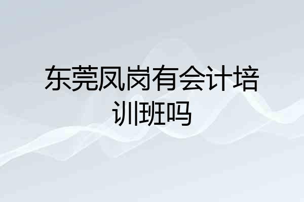 东莞凤岗有会计培训班吗