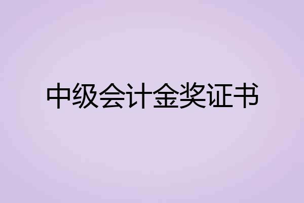 中级会计金奖证书