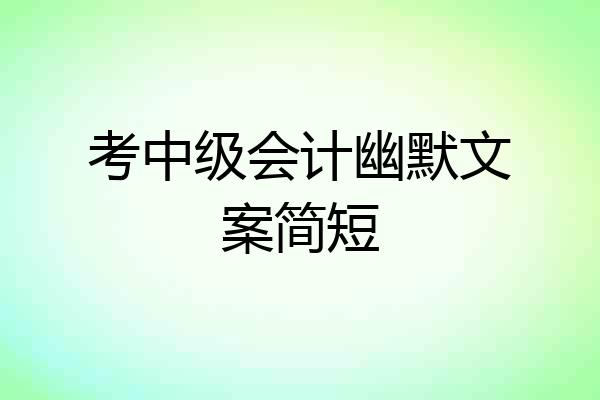 考中级会计幽默文案简短