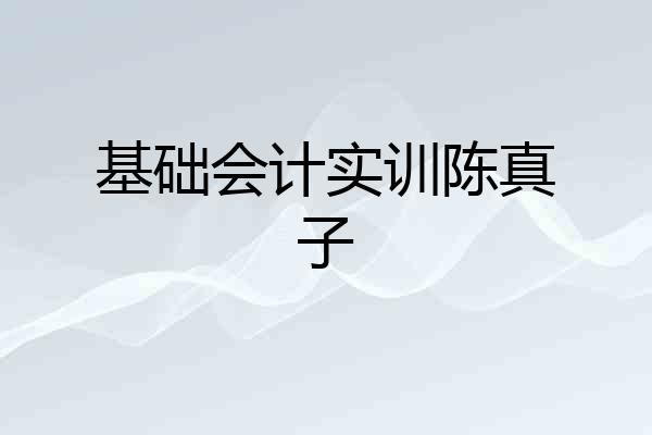 基础会计实训陈真子