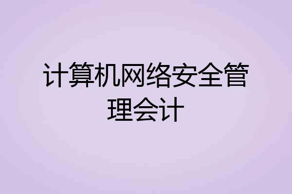 计算机网络安全管理会计