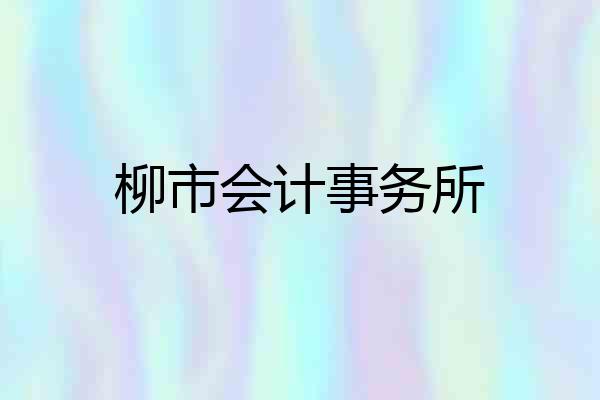 柳市会计事务所