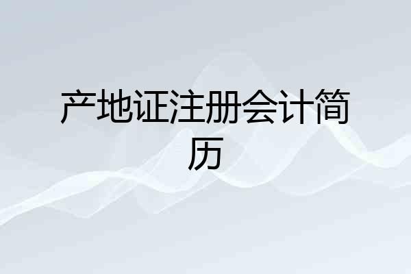 产地证注册会计简历