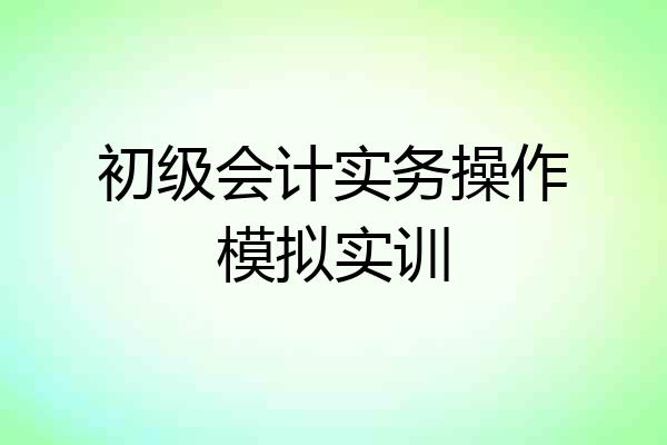 初级会计实务操作模拟实训