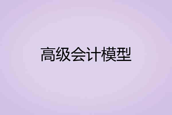 高级会计模型
