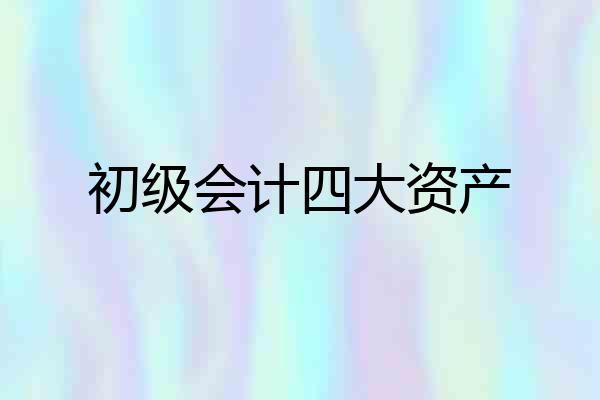 初级会计四大资产