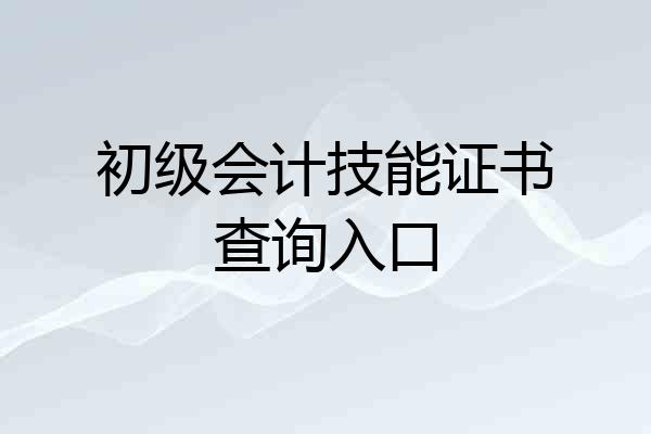 初级会计技能证书查询入口
