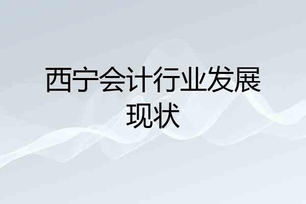 西宁会计行业发展现状